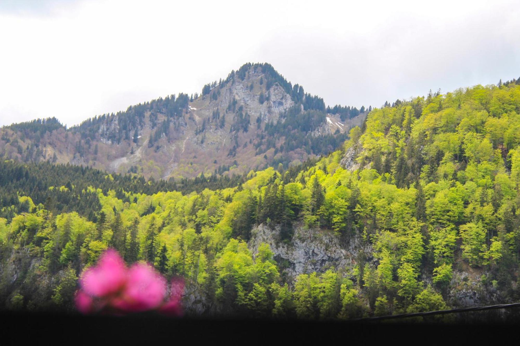 Bauernhof Auerhof Ferienwohnung Aschau im Chiemgau Zewnętrze zdjęcie